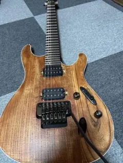 2026年最新】Ibanez AS103の人気アイテム - メルカリ