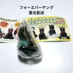 2026年最新】フォーエバーヤングの人気アイテム - メルカリ