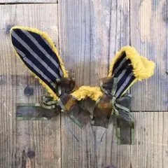 Item thumbnail for item 895c3c86-6278-4ea3-bdfb-c79bd280082a