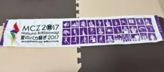 ももいろクローバーZ 夏のバカ騒ぎ2017 タオル