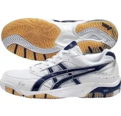 2025年最新】アシックス バレーボールシューズ 25の人気アイテム