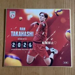 バレーボール男子日本代表2025 トレーディングmini色紙　高橋藍選手 バレーボール日本代表 トレーディングmini色紙 髙橋藍 高橋藍 ノーマル