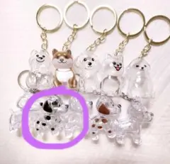 Item thumbnail for item 1aa2ca02-5125-4d3a-a924-bd6cb2a9fc42