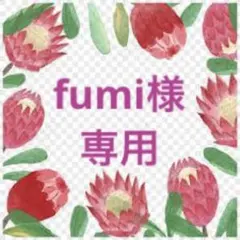 fumi様 リクエスト 2点 まとめ商品