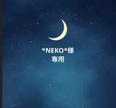 *NEKO*様 リクエスト 2点 まとめ商品