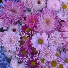 直優様 リクエスト 4点 まとめ商品