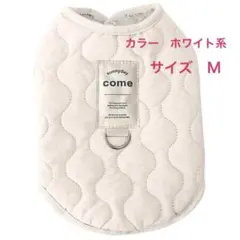 Item thumbnail for item 58285d97-e1cd-4919-88ee-29306167bf15