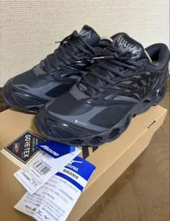 mizuno WAVE PROPHECY LS GTX ゴアテックス　27cm
