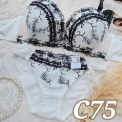 №1455【C75】ゴシックレースリポンラインブラジャー＆フルバックショーツ
