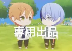 専用出品