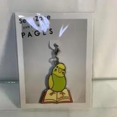 Sexy Zone PAGES 会場限定チャーム 静岡 / timelesz