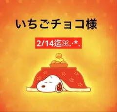 いちごチョコ様 専用ページ