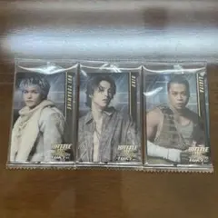 THE RAMPAGE BOT ウエハース フォトカード セット