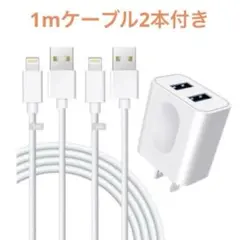⭐️新品未使用⭐️USB 充電器 iPhone 充電器2ポート 1mケーブル2本付き