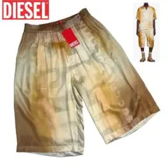 定価/110,000- 新品同様 DIESEL P-Brumo-Color 44