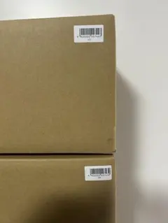 段ボール未開封ポケットモンスター ファイアレッド・リーフグリーン 特別版 セット