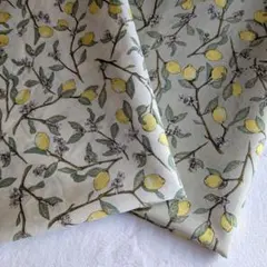 Item thumbnail for item bf98e180-e6c7-48cc-81f5-0d5c747967b8