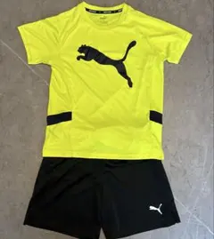 【PUMA 上下セット／ASIA150】