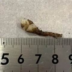 ななそら様 リクエスト 3点 まとめ商品