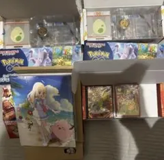 トウホクサプライ、ポケモンGO スペシャルセットサプライ×2、リーリエファイル