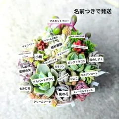 hana♡87様 リクエスト 2点 まとめ商品