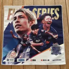 2025年最新】サンフレッチェ 広島の人気アイテム - メルカリ