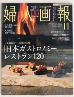 婦人画報　11月号 特別版　雑誌のみ