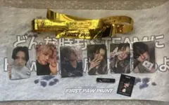 &TEAM ユウマ FC限定トレカ　ハウプリ　たまアリ