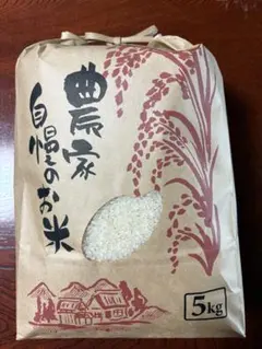 お米　5kg 2025年産　ヒノヒカリ　精米のサムネイル
