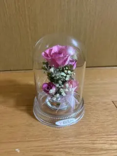 raine De fleurプリザーブドフラワー ガラスドーム入り バラ raine De fleurプリザーブドフラワー ガラスドーム入り バラ - メルカリ