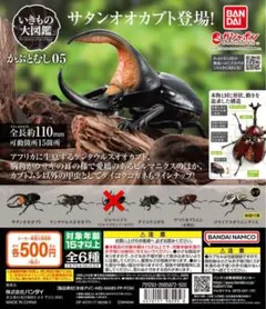 2025年最新】ダイコクコガネの人気アイテム - メルカリ