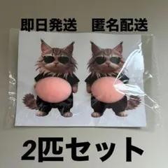 ねこ サングラス お腹ぷにぷにシール ステッカー ぷっくりお腹 おなか
