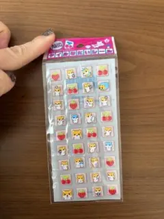 平成レトロ　当時　レモン株式会社　シール