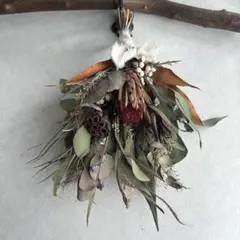 プロテア インテリア