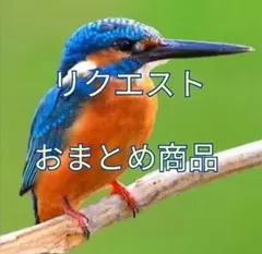 kyara様 リクエスト 2点 まとめ商品