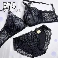 E75たっぷり総レース（黒）♥️ブラジャーショーツセット♥️エメフィール系可愛い