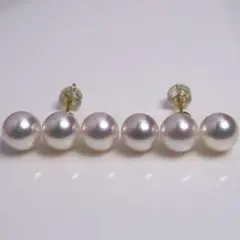 まりん様 ご専用