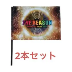 EXILE THE REASON フラッグ2本セット