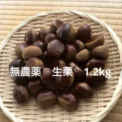 生栗