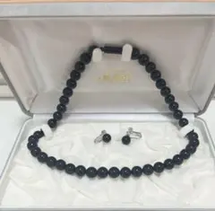 い*ん様 #9771 天然ジェット ネックレス イヤリング セット K14WG 9771 天然ジェット ネックレス イヤリング セット K14WG - メルカリ