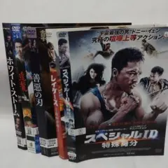アジア/アクション系　DVDまとめ売り　5枚セット