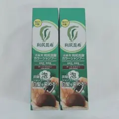 利尻昆布 利尻炭酸カラーシャンプー ダークブラウン 2本セット - メルカリ