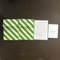 BOTTEGA VENETA ボッテガヴェネタ 緑白ストライプ　封筒型ショップ袋