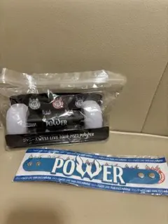 west ペンライト power