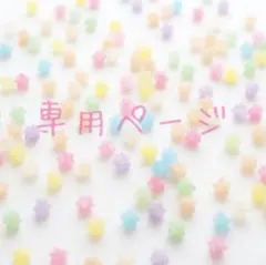専用ページ