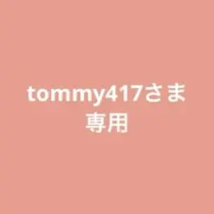 シャネルレベージュパレットルガール　テンダー