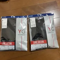 グンゼ GUNZE VネックTシャツ 2着セットのサムネイル