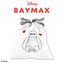 ディズニー ベイマックス 巾着袋