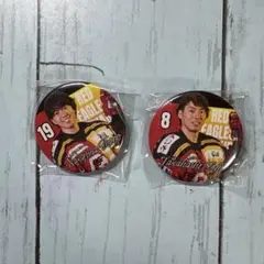 レッドイーグルス北海道