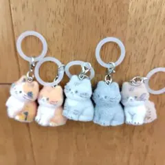 フロッキー ニャンちゃん ワンポイントチャーム めじるしアクセサリー